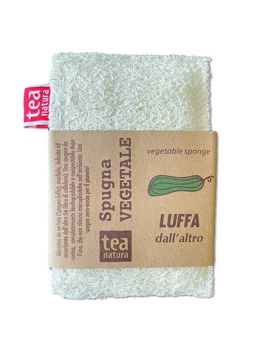 Esponja Vegetal de Celulosa y Luffa - Yumibio Espana