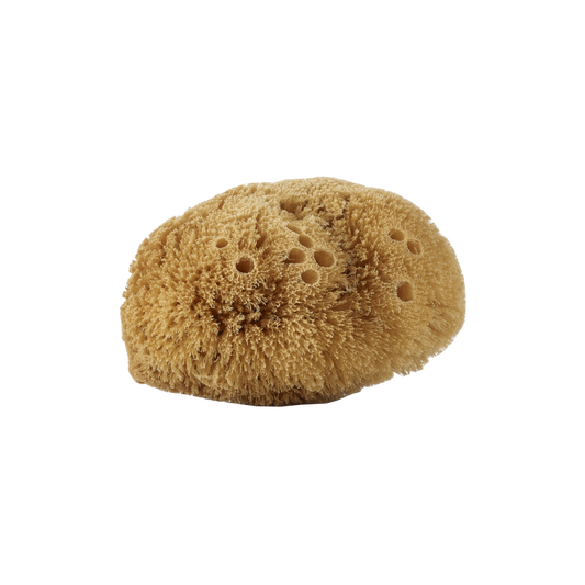Esponja Corporal Natural - Yumibio Espana