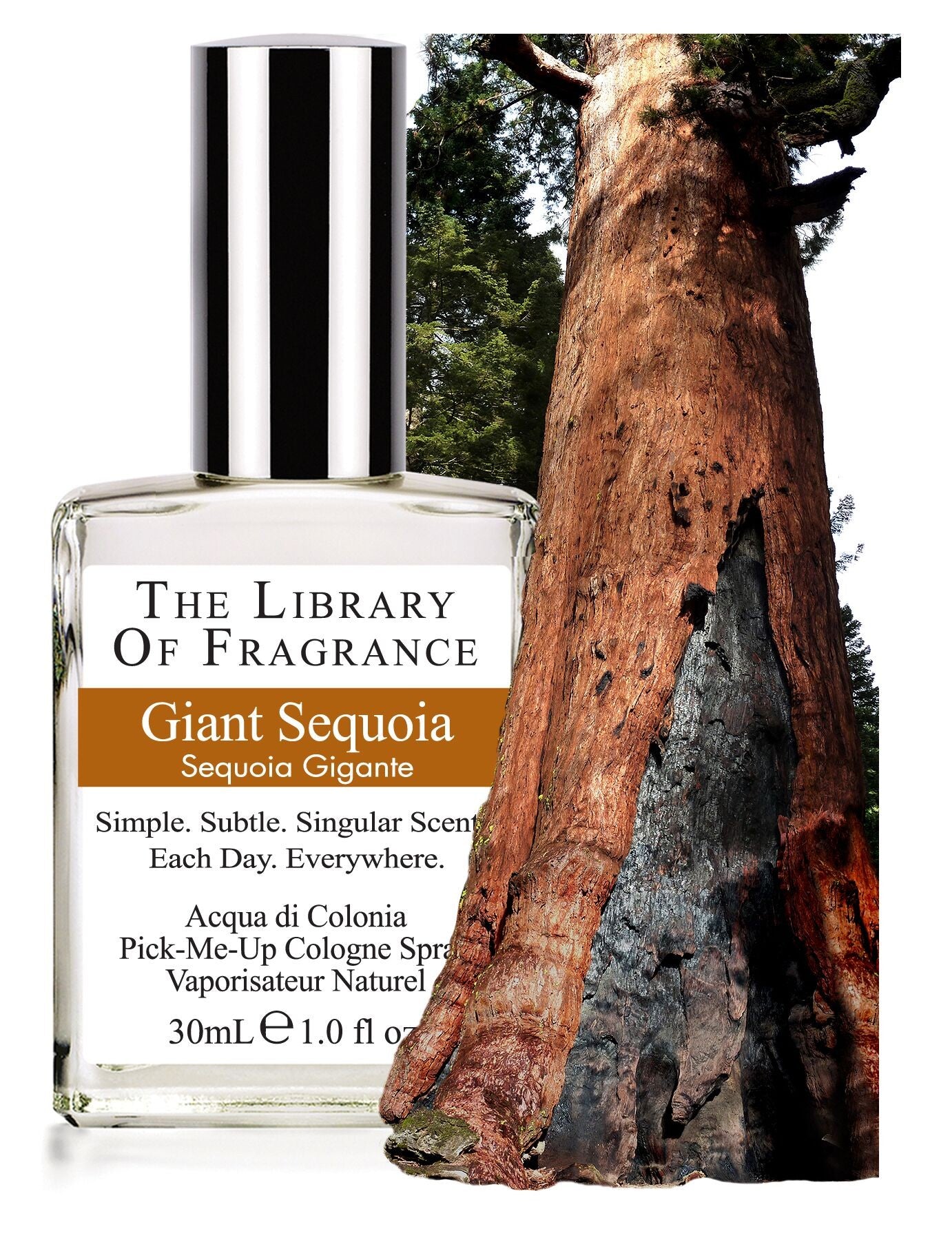 Perfume Natural - Secuoya Gigante - Yumibio Espana